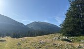 Trail Walking Saint-Agnan-en-Vercors - Veymont pré râteau  - Photo 4