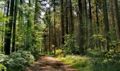 Randonnée Marche Chiny - Promenade vers le Rocher Du Hat - Photo 4