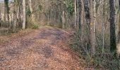 Percorso Marcia Marcilly-en-Beauce - Varennes - Photo 13