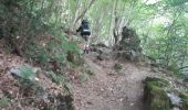 Trail Walking Aywaille - camping vers trois pont - Photo 12