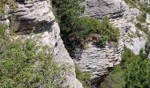 Trail Walking Bédoin - Bedoin  - Photo 3
