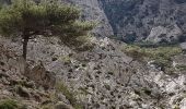 Trail Walking Municipality of Zaros - Lac de Votomos à la chapelle d'Agios Loannis (rother n°44) - Photo 10