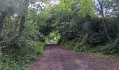 Trail Walking Comblain-au-Pont - poulseur . chanxhe . fays . monfort . poulseur - Photo 13
