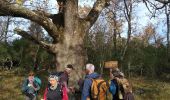 Trail Walking Le Revest-les-Eaux - Cassini - Photo 1