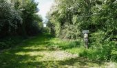 Trail On foot Lichtervelde - Heihoek wandelroute - Photo 8