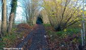 Tour Wandern Gesves - haltinne reco 2024 - Photo 10