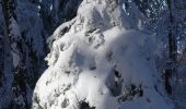 Randonnée Raquettes à neige Léoncel - Le Grand Echaillon - Les Crêtes de la Sausse - Photo 13