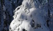 Percorso Racchette da neve Léoncel - Le Grand Echaillon - Les Crêtes de la Sausse - Photo 13