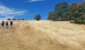 Tour Wandern Lans-en-Vercors - le moucherotte  - Photo 7