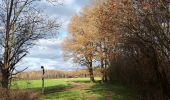 Trail Walking Hamoir - Hamoir - Sy - Les Crêtes  - Photo 2