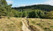 Tocht Mountainbike Orbey - Orbey - Labaroche - Col du Wettstein - Photo 9