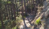 Trail Walking Sisteron - 05 trop argent 02.08.23 - Photo 3