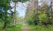 Randonnée Marche Sprimont - dans les bois au nord de Banneux - Photo 9