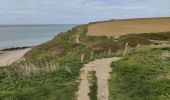 Trail Walking Audresselles - Cran le Noirda - Photo 16