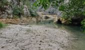 Excursión Senderismo Navacelles - Les Aiguieres Hameau de Cal  - Photo 6