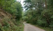 Trail Walking Jalhay - adeps sart 20 km bug - Photo 13