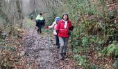 Tocht Stappen Lanne-en-Barétous - G4 lanne baretous fait - Photo 1