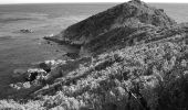 Randonnée Marche Ramatuelle - Bonne Terrasse - Cap Camarat - Plage de l'Escalet - Pointe de la Douane - Cap Lardier - Pointe de Brouis - Plage de Gigaro - Photo 2