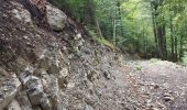 Tour Wandern Bellefontaine - Des lacs de Bellefontaine vers le belvédère de la roche Bernard. - Photo 4