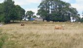 Trail Walking La Tour-d'Auvergne - Natzy - Photo 3