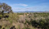 Tour Wandern Roquebrune-sur-Argens - z les bois de Roquebrune 20-11-18 - Photo 3