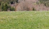 Trail Walking Peyrelevade - Fred Chappelle du Rat - Photo 4