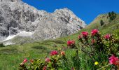 Tour Zu Fuß Tiers - (SI C19N) Rifugio Alpe di Tires - Rifugio Sasso Piatto - Photo 9