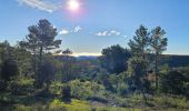 Trail Walking Cuers - Promenade sous les barres de Cuers, en partant du village de Cuers - Photo 10