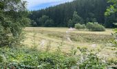 Tocht Stappen Büllingen - Panorama Medendoef - Photo 11