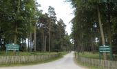 Percorso A piedi Stafford - Tolkien Trail Cannock Chase Walk - Photo 4