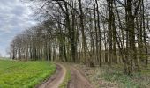 Tour Wandern Nivelles - BE-Bornival - Bois d'En-Bas  - Ecluse 24 - Ancien canal - Photo 18