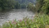 Trail Walking Esneux - tilf . ferme de femelette.  roche aux faucons.  avister. tilf  - Photo 2