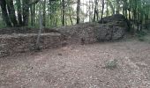Trail Walking Coly-Saint-Amand - Saint Amand de Coly  - Photo 8