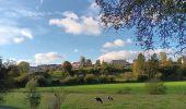 Trail Walking Modave - modave - clavier station, retour par la ligne 126 - Photo 4