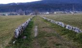 Excursión Senderismo Autrans-Méaudre en Vercors - Chemin court des Lauzets - Photo 6