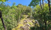 Tocht Stappen Bagni di Lucca - Aller-retour Vico Pancellorum - Schiena d'Asino - Photo 3