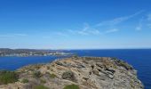 Tocht Stappen Cadaqués - cadaques . sa planassa . far de cala nans . cadaques  - Photo 10