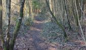 Trail Walking Durbuy - Heyd avec le chemin des crêtes  - Photo 6