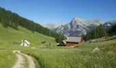 Trail Sled dogs Guillestre -  Charmousse. Ceillac  - Photo 3