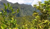 Excursión Senderismo Saint-André - Boucle de Dioré - Photo 4