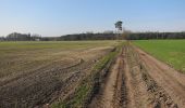 Tour Zu Fuß Breckland - Weeting Village Walk - Photo 4