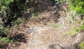 Tocht Stappen Saint-Cézaire-sur-Siagne - Le canal et la rivière de la Siagne  - Photo 13