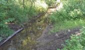 Trail Walking Mettet - Pontaury Bambois - Photo 4