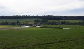 Tour Wandern Havelange - OSSOGNE TOUR 1 - Photo 1