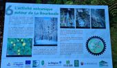 Tour Wandern La Bourboule - Charlannes du pont - Photo 14