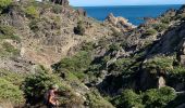 Tour Wandern Cadaqués - Cap Creus effacer trace excédentaire  - Photo 8