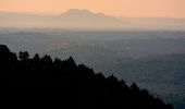 Trail Walking Saint-Raphaël - SityTrail - Pic de Cap Roux et la Grotte de Saint Baume - Photo 1