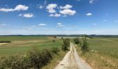 Tour Wandern Somme-Leuze - Sentiers d’Art / Boucle Heure-Nettinne / 2020-06-01 / 17 km - Photo 3