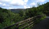 Trail Walking Belfast - glenarif forest park - waterfalls - Photo 9