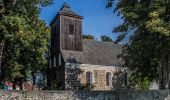 Percorso A piedi Chorin - Kroneichen-Rundweg - Photo 1